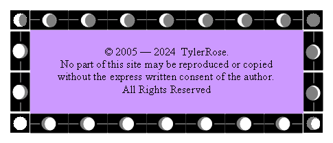 Text Box:  2005  2024  TylerRose. No part of this site may be reproduced or copied without the express written consent of the author.All Rights Reserved